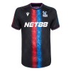 Officiële Voetbalshirt Crystal Palace Derde 2024-25 - Heren